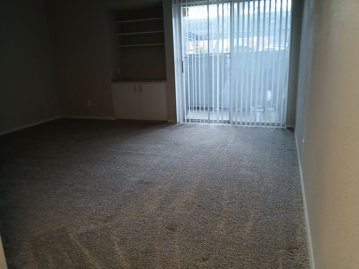 Room with grey carpet after cleaning — vacuumed and reset