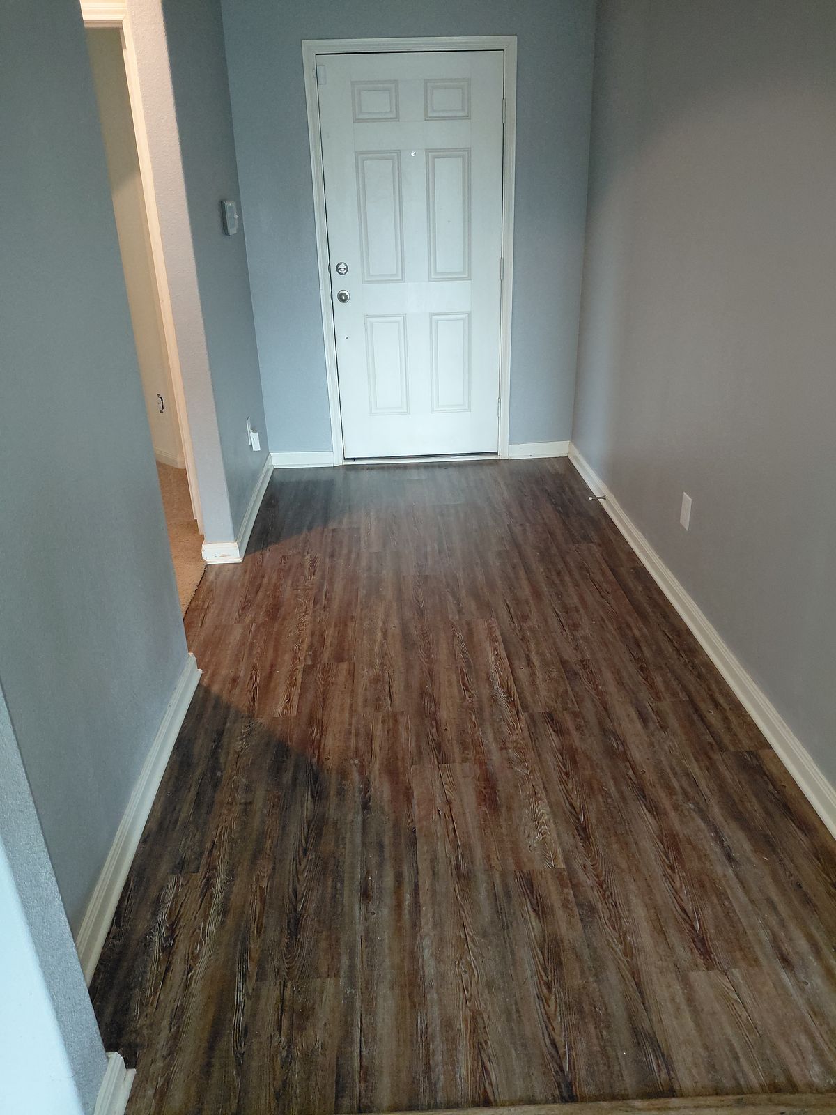 Entry hallway after cleaning — detailed from door to floor