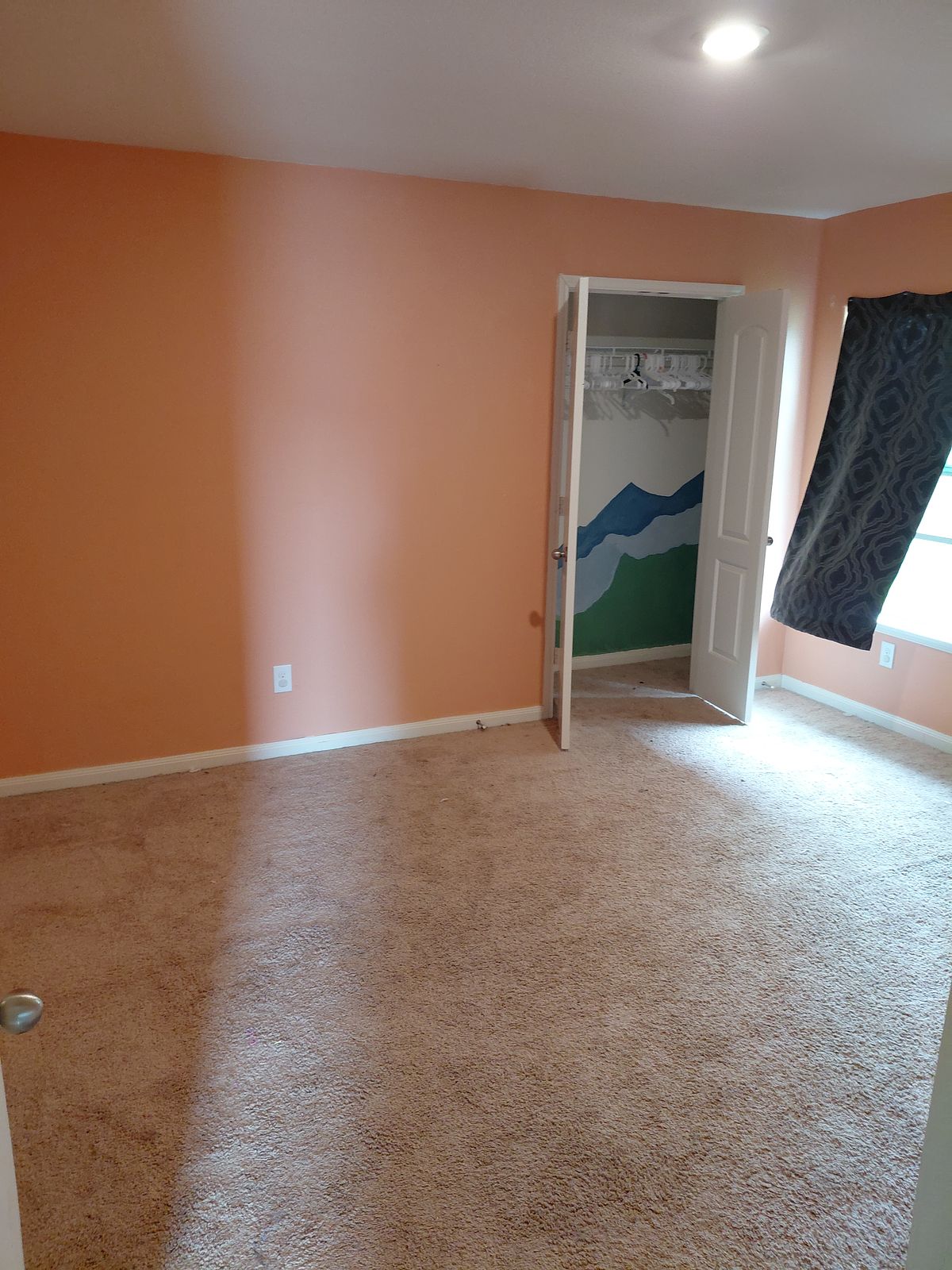 Bedroom with mountain mural before cleaning